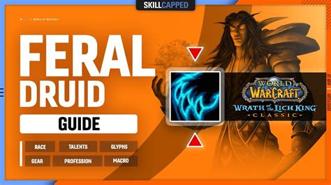 Feral Druid DPS Spell List and Glossary